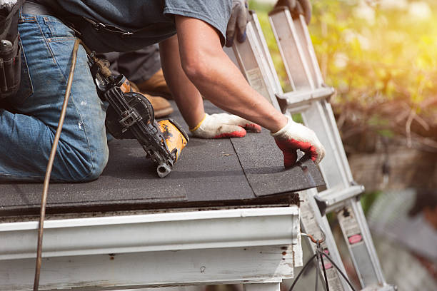 Best Roof Gutter Cleaning  in Cambridge, WI